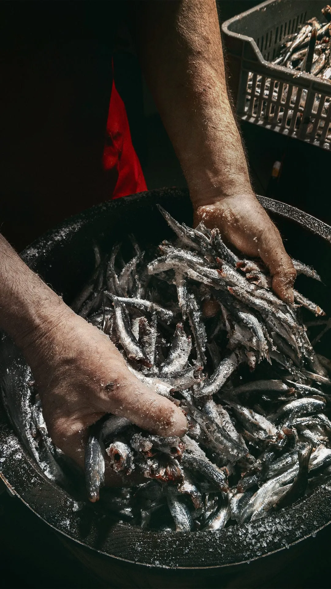 엔초비 가공 과정